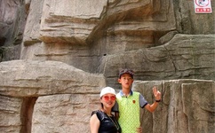 野花视频直播在线观看